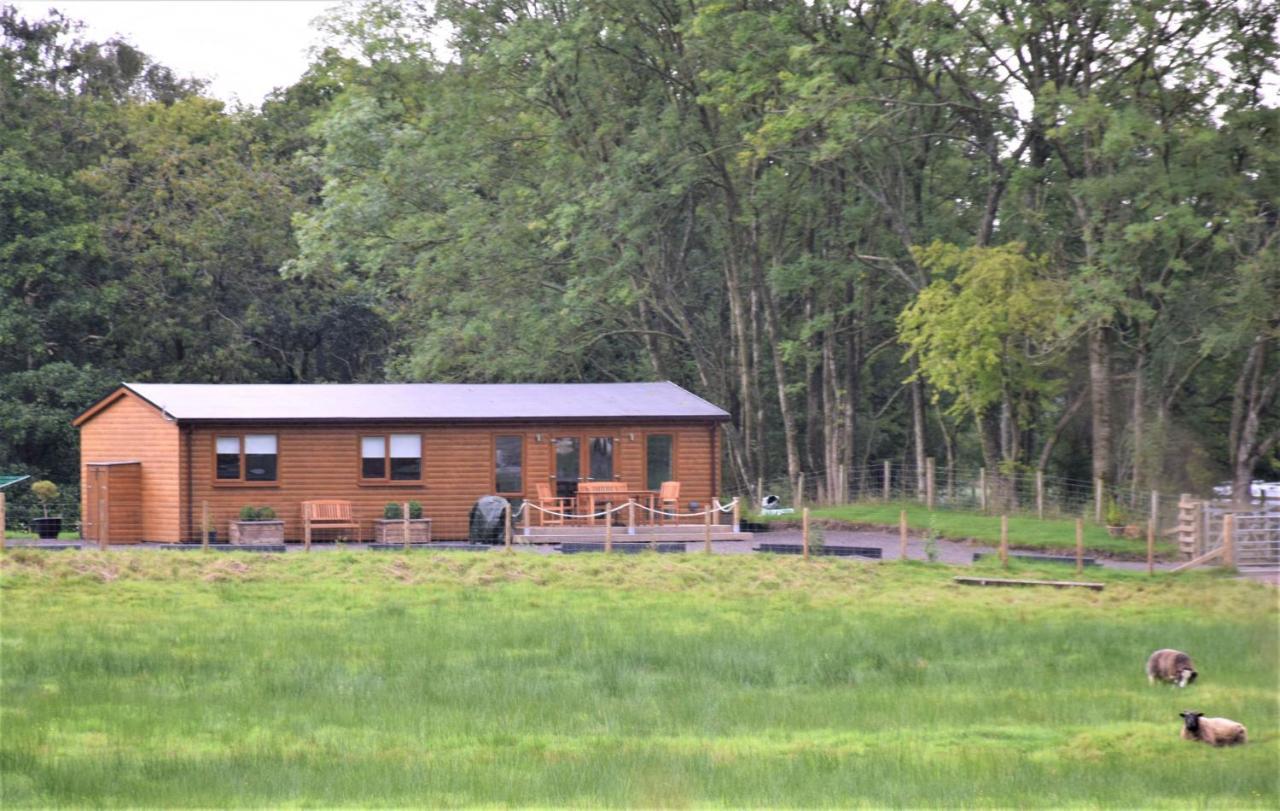 Ridge View Lodge Dumfries Exterior foto