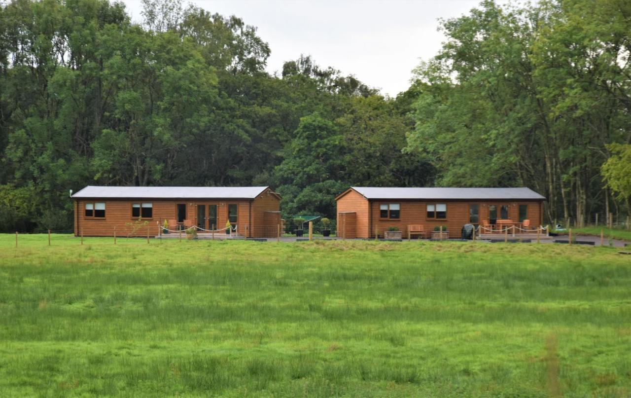 Ridge View Lodge Dumfries Exterior foto